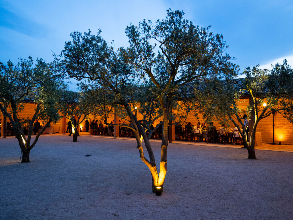 siteweb_chateau_beaucastel_2025_techandlive6